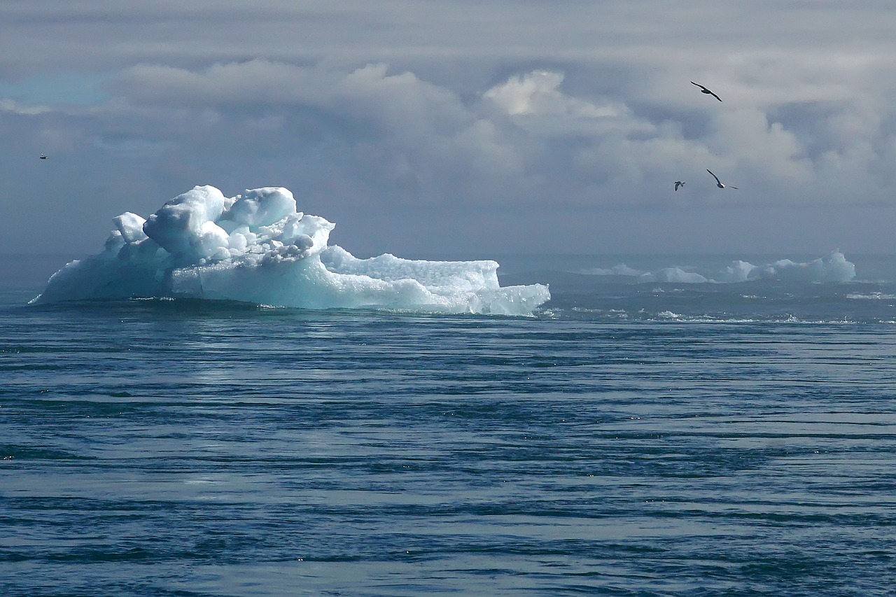 Climat et Environnement : Les Enjeux Cruciaux de 2021