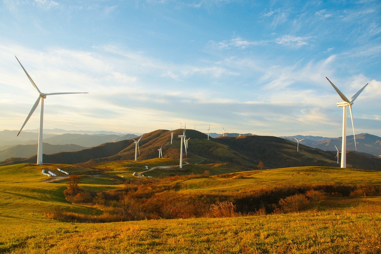 découvrez l'importance de l'environnement dans notre vie quotidienne, ainsi que les actions que nous pouvons entreprendre pour le préserver et le protéger pour les générations futures.