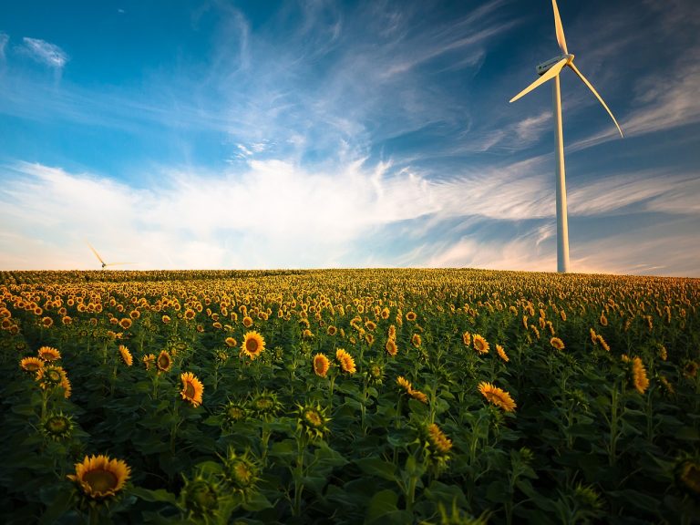 Énergie renouvelable : électricité et gaz verts pour diminuer votre empreinte carbone