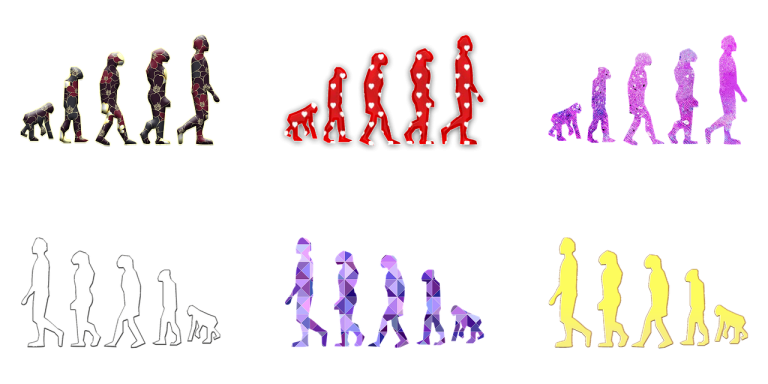 Évolution humaine : un aperçu récapitulatif de notre adaptation face aux défis du changement climatique