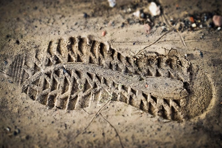 découvrez tout sur l'empreinte carbone, ses impacts sur l'environnement et les moyens de réduire votre empreinte pour un futur durable. en savoir plus sur les gestes écologiques à adopter au quotidien.