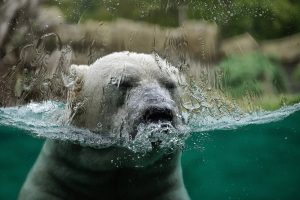 Les méthodes de lutte contre le changement climatique