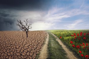 Les principales causes du changement climatique