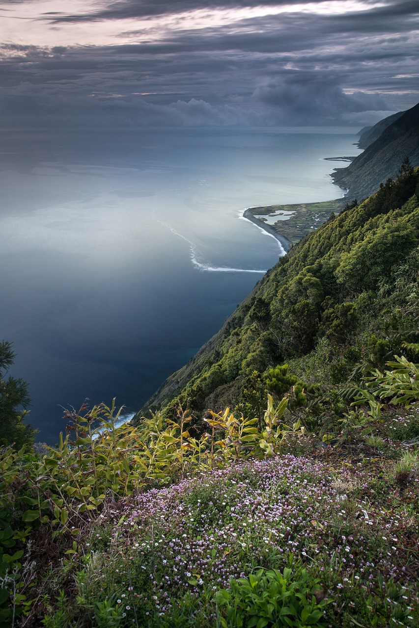 L’importance de la biodiversité pour la santé de notre planète