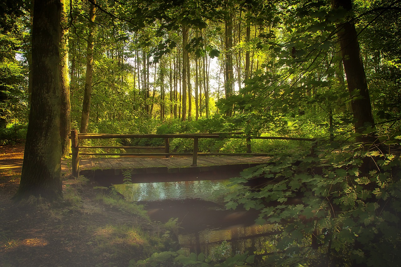 découvrez comment la transition écologique transforme notre société et notre environnement. explorez des solutions durables, des initiatives innovantes et des pratiques respectueuses de la planète pour construire un avenir meilleur.