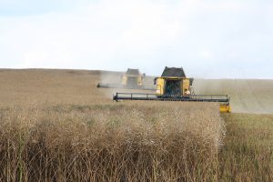 Vers une Agriculture Durable : Le Haut Conseil pour le Climat Plaide pour des Mesures Ambitieuses de Décarbonation