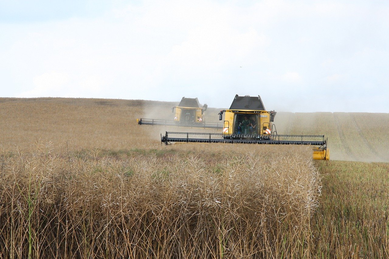 découvrez l'agriculture durable, une approche respectueuse de l'environnement qui allie production agricole et préservation des ressources. apprenez comment cette méthode favorise la biodiversité, réduit les émissions de carbone et assure une alimentation saine pour les générations futures.