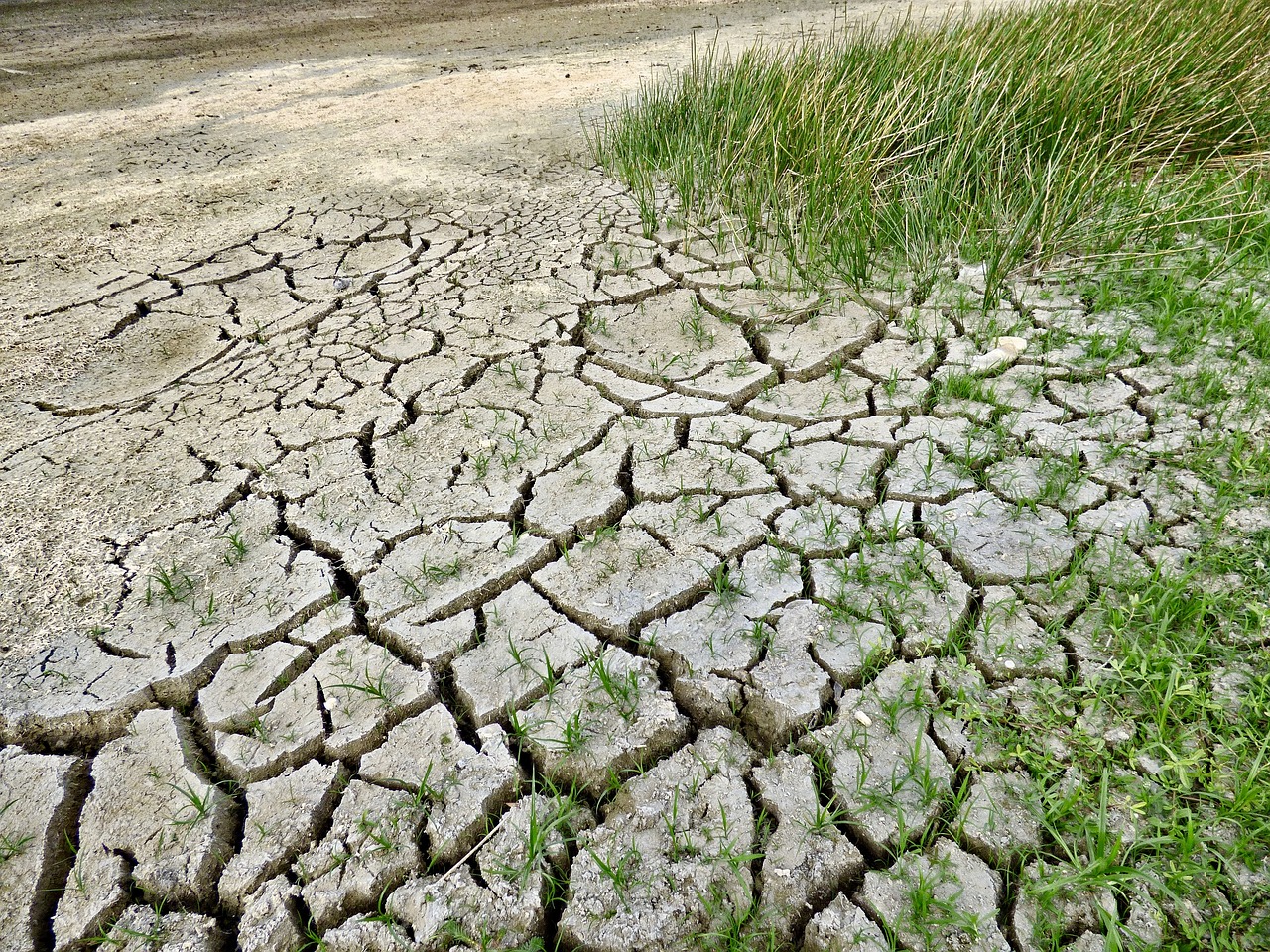 découvrez les caractéristiques des climats arides, leurs impacts sur l'environnement et la biodiversité, ainsi que les adaptations nécessaires pour vivre dans ces régions sèches. apprenez comment la flore et la faune survivent dans des conditions extrêmes.