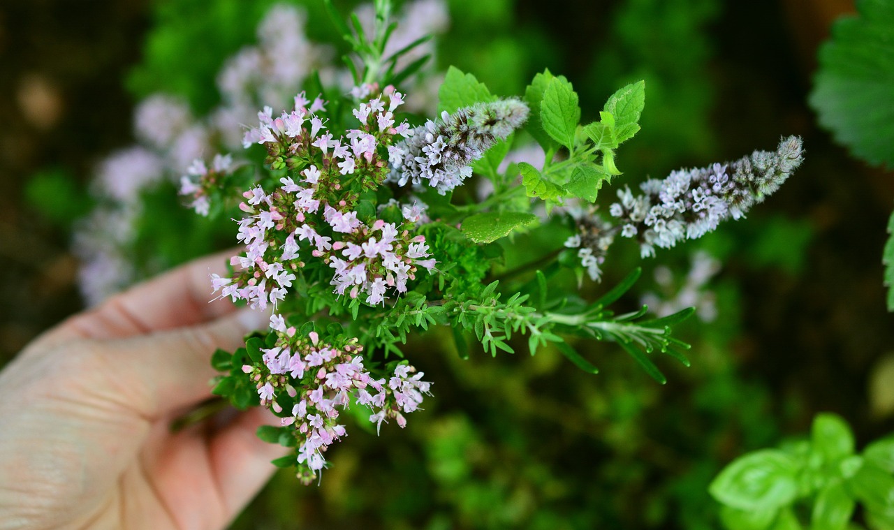 découvrez l'univers fascinant des plantes aromatiques ! apprenez à cultiver, utiliser et savourer ces trésors de la nature qui ajoutent saveur et bienfaits à votre cuisine et votre bien-être. explorez les variétés, les techniques de jardinage et les recettes savoureuses qui mettront en valeur ces herbes délicieuses.