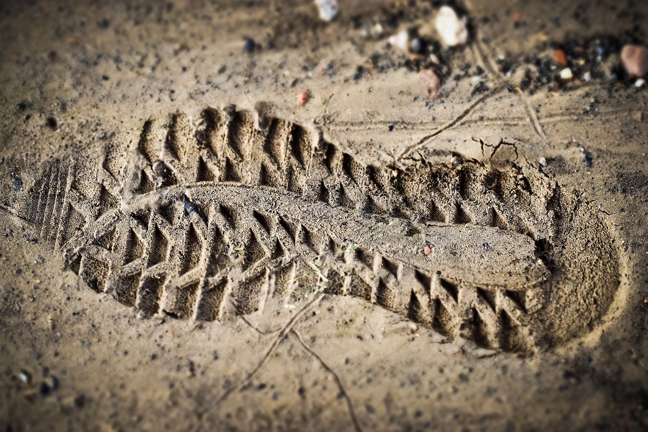 découvrez ce qu'est l'empreinte carbone et pourquoi elle est cruciale pour la lutte contre le changement climatique. apprenez à mesurer et réduire votre impact environnemental grâce à des actions concrètes et des conseils pratiques.