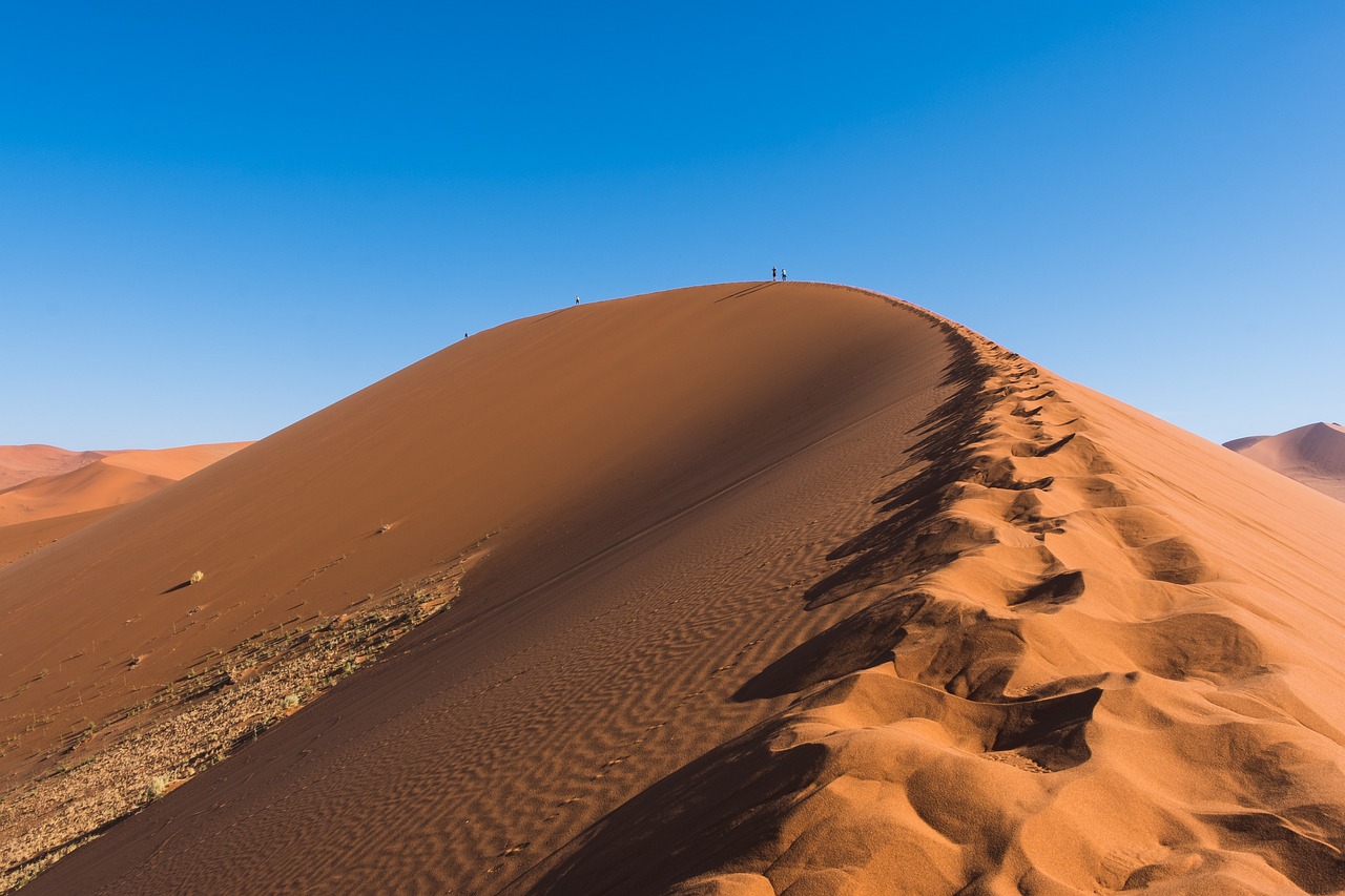 découvrez l'impact des changements climatiques sur notre planète, explorez les actions que nous pouvons entreprendre pour protéger notre environnement et informez-vous sur les dernières recherches et innovations en matière de climat.