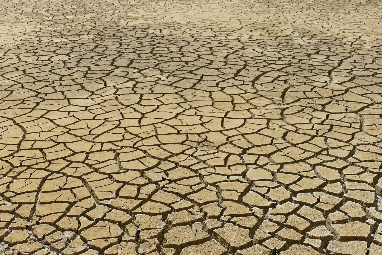 découvrez les enjeux du changement climatique, ses impacts sur notre planète et les solutions à mettre en œuvre pour un avenir durable. informez-vous sur les actions individuelles et collectives pour lutter contre cette crise mondiale cruciale.