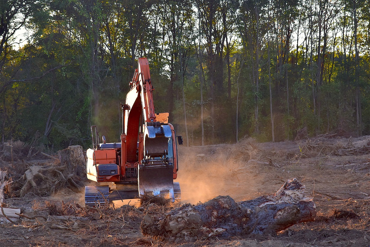 découvrez les enjeux de la déforestation, ses causes et ses conséquences sur l'environnement. apprenez comment préserver nos forêts et agir pour un avenir durable.