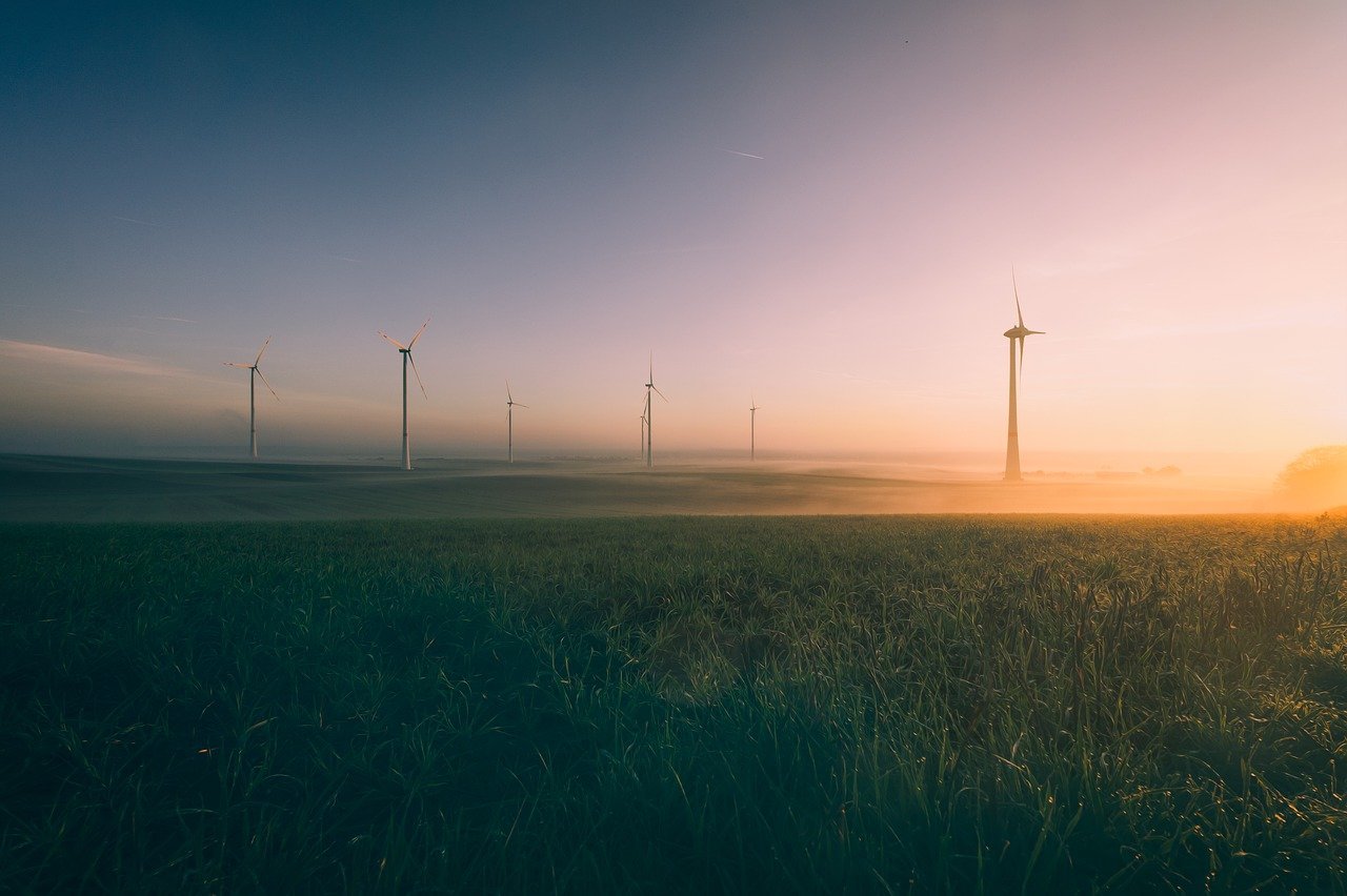 découvrez comment la transition écologique transforme notre société en adoptant des pratiques durables, en préservant notre environnement et en favorisant un avenir plus vert pour les générations futures.