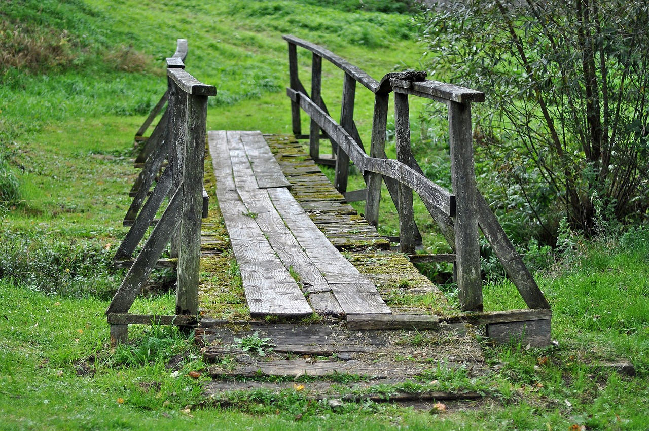 découvrez comment la transition écologique transforme nos sociétés vers un avenir durable. explorez les initiatives, les stratégies et les solutions innovantes qui favorisent la protection de l'environnement et le développement durable.