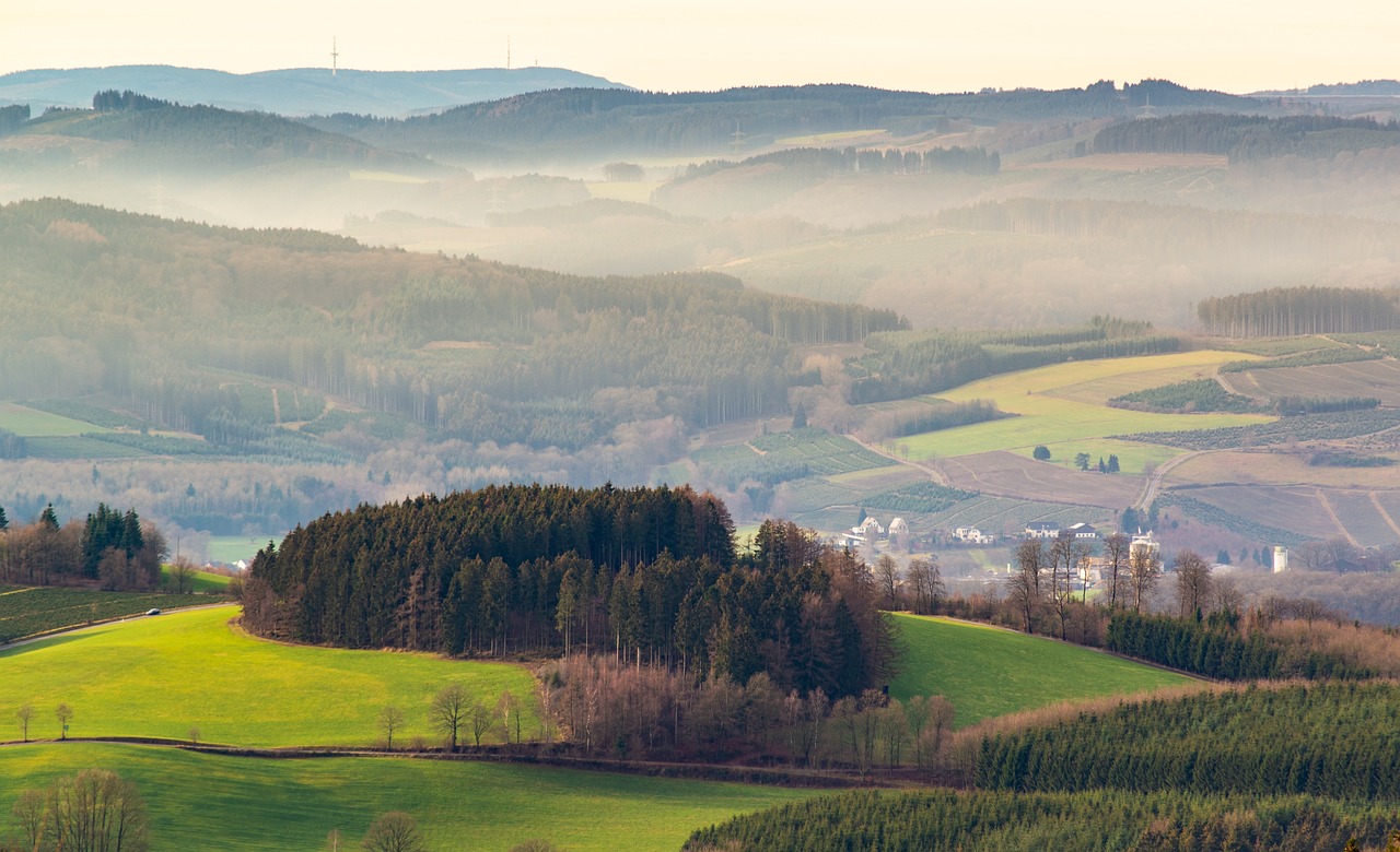 découvrez l'importance de l'environnement, son impact sur notre quotidien et les actions à entreprendre pour le préserver. engagez-vous pour un avenir durable et sain.