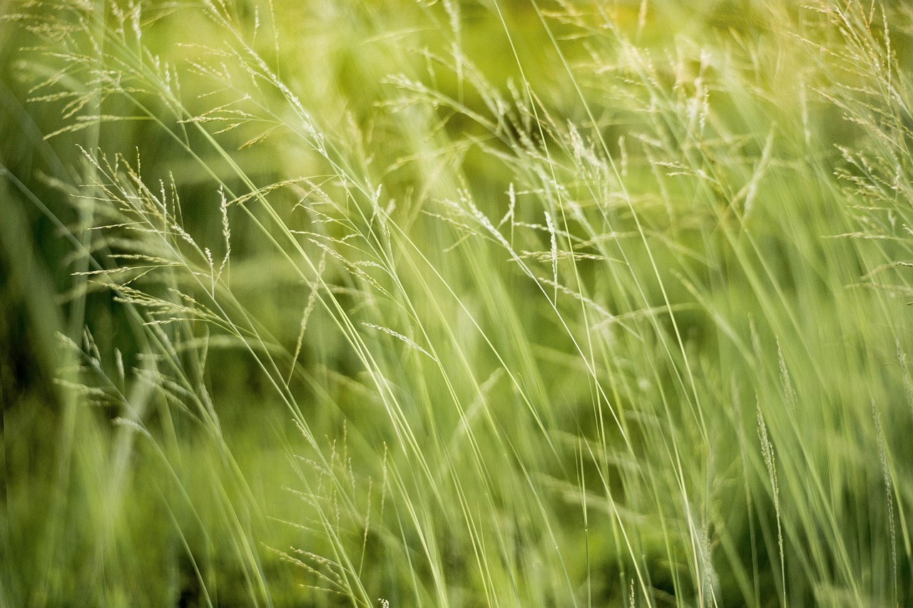 découvrez nos politiques environnementales innovantes pour un avenir durable et responsable. engagez-vous à protéger notre planète grâce à des initiatives écologiques et des pratiques durables.