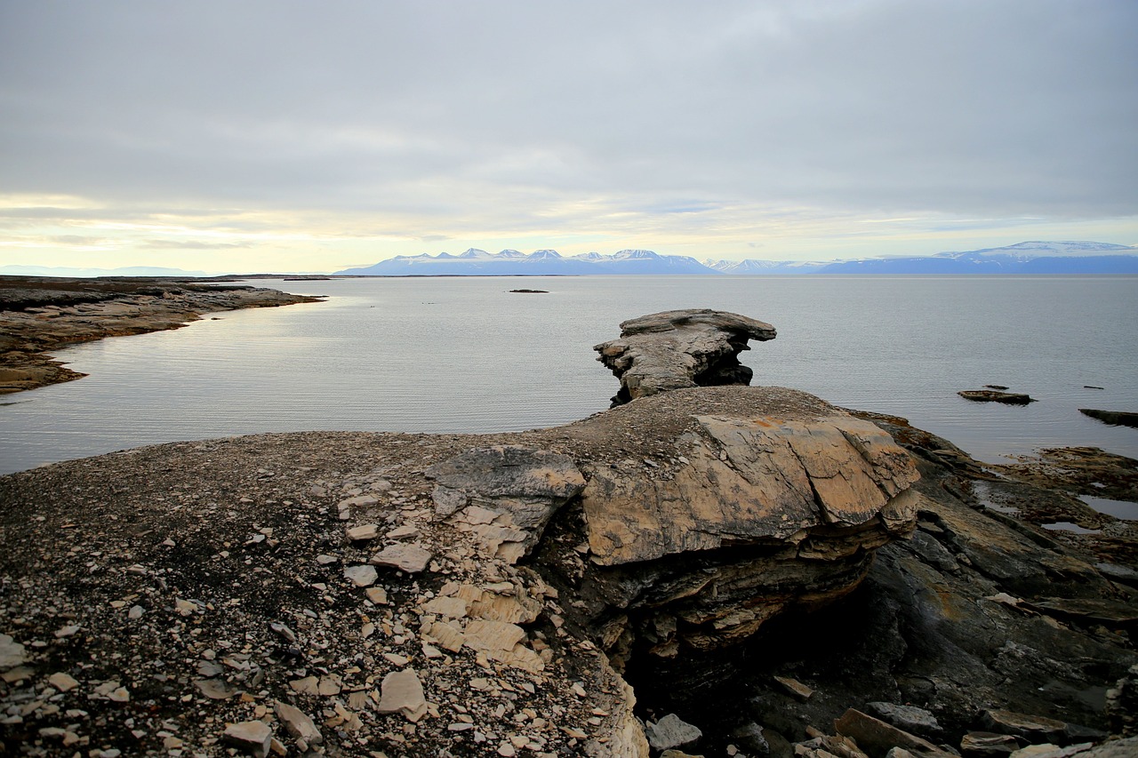 découvrez le permafrost, un sol gelé aux implications cruciales pour le climat et l'environnement. apprenez comment il influence la biodiversité, le réchauffement climatique et les écosystèmes arctiques.