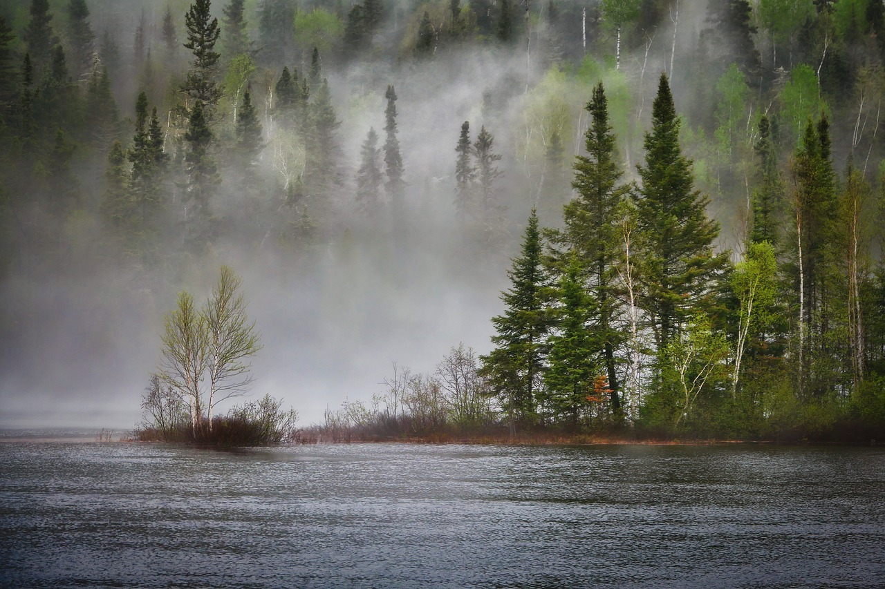 découvrez les caractéristiques fascinantes des climats polaires, où des températures extrêmes et des paysages de glace se rencontrent. explorez la faune unique et les défis environnementaux de ces régions reculées, tout en apprenant comment le changement climatique impacte ces écosystèmes fragiles.