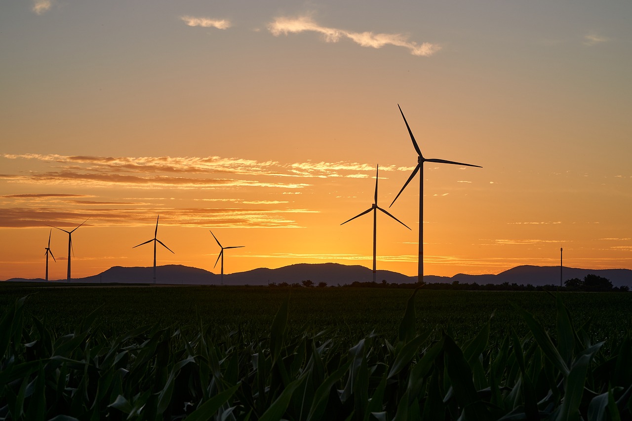 découvrez l'univers de l'énergie renouvelable, une solution durable pour un avenir écologique. explorez les différentes sources, comme l'énergie solaire, éolienne et hydraulique, et leur impact positif sur notre planète.