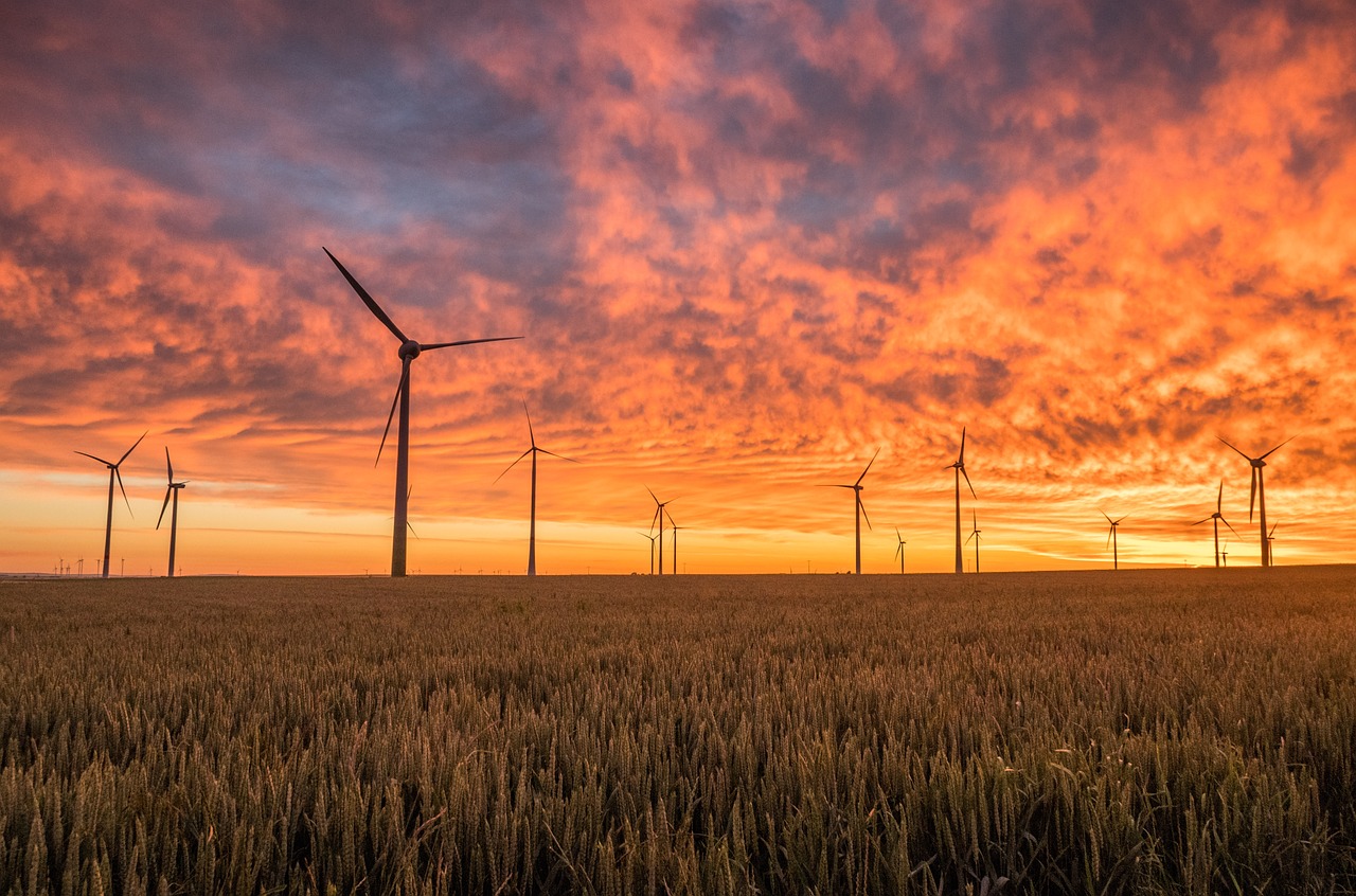 découvrez l'importance des énergies renouvelables pour un avenir durable. apprenez comment ces sources d'énergie, comme le solaire et l'éolien, réduisent notre empreinte carbone et contribuent à la protection de notre planète.