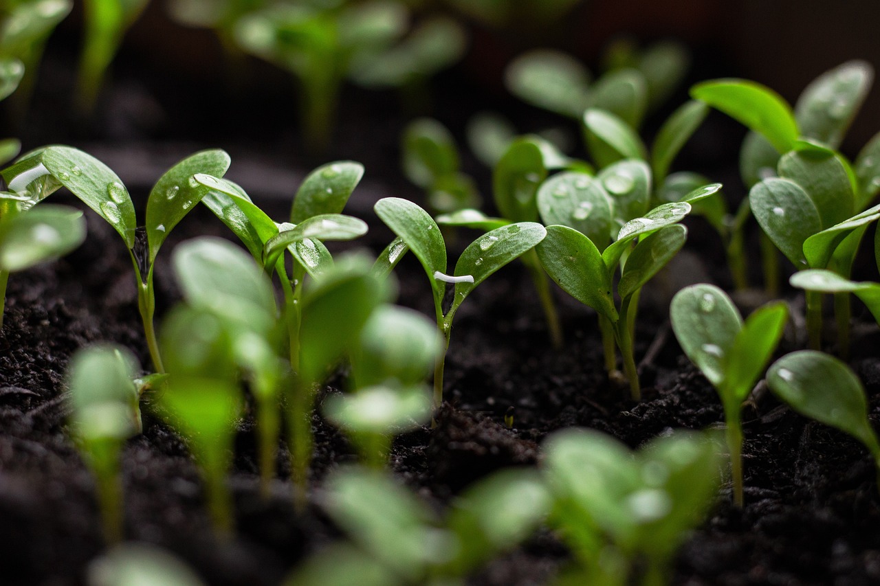 découvrez comment la transition durable transforme notre société et notre économie, en adoptant des pratiques respectueuses de l'environnement et en favorisant un avenir plus vert et responsable.