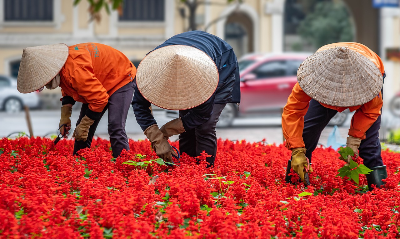 découvrez l'univers du jardinage urbain : astuces, conseils et techniques pour cultiver vos plantes en ville. transformez vos balcons et terrasses en véritables oasis de verdure et profitez des bienfaits du jardinage même en milieu urbain.