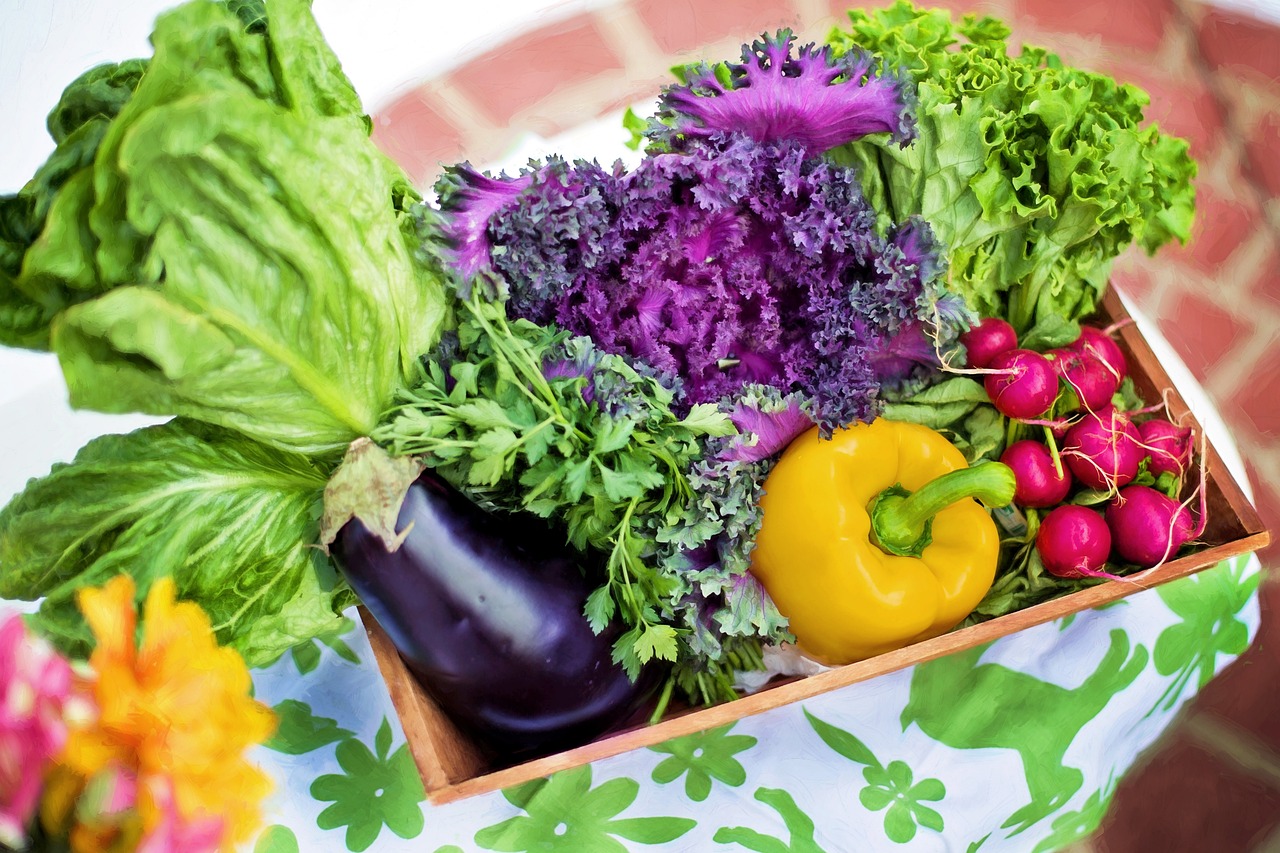 découvrez le jardinage urbain, une pratique écoresponsable qui transforme les espaces en villes en jardins luxuriants. apprenez des astuces pour cultiver vos propres plantes, légumes et herbes sur votre balcon ou dans votre jardin, et contribuez à un environnement plus vert tout en profitant des bienfaits du jardinage.