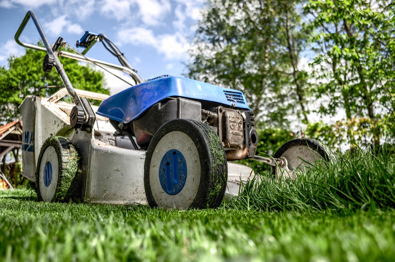 découvrez l'art du jardinage urbain : créez votre propre oasis verte en milieu urbain, tout en explorant des techniques innovantes pour cultiver des plantes et des légumes dans des espaces réduits.