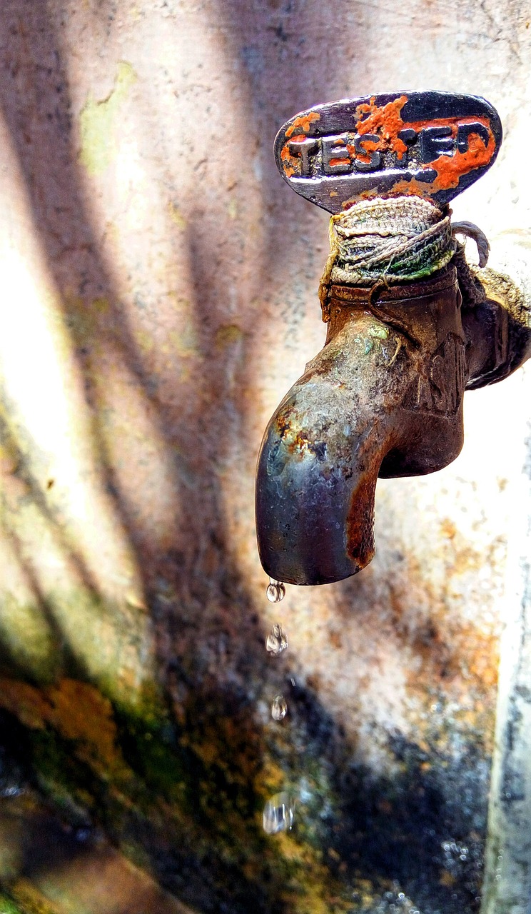 découvrez des stratégies efficaces pour la conservation de l'eau, des conseils pratiques pour réduire votre consommation quotidienne, et l'importance de préserver cette précieuse ressource pour les générations futures.