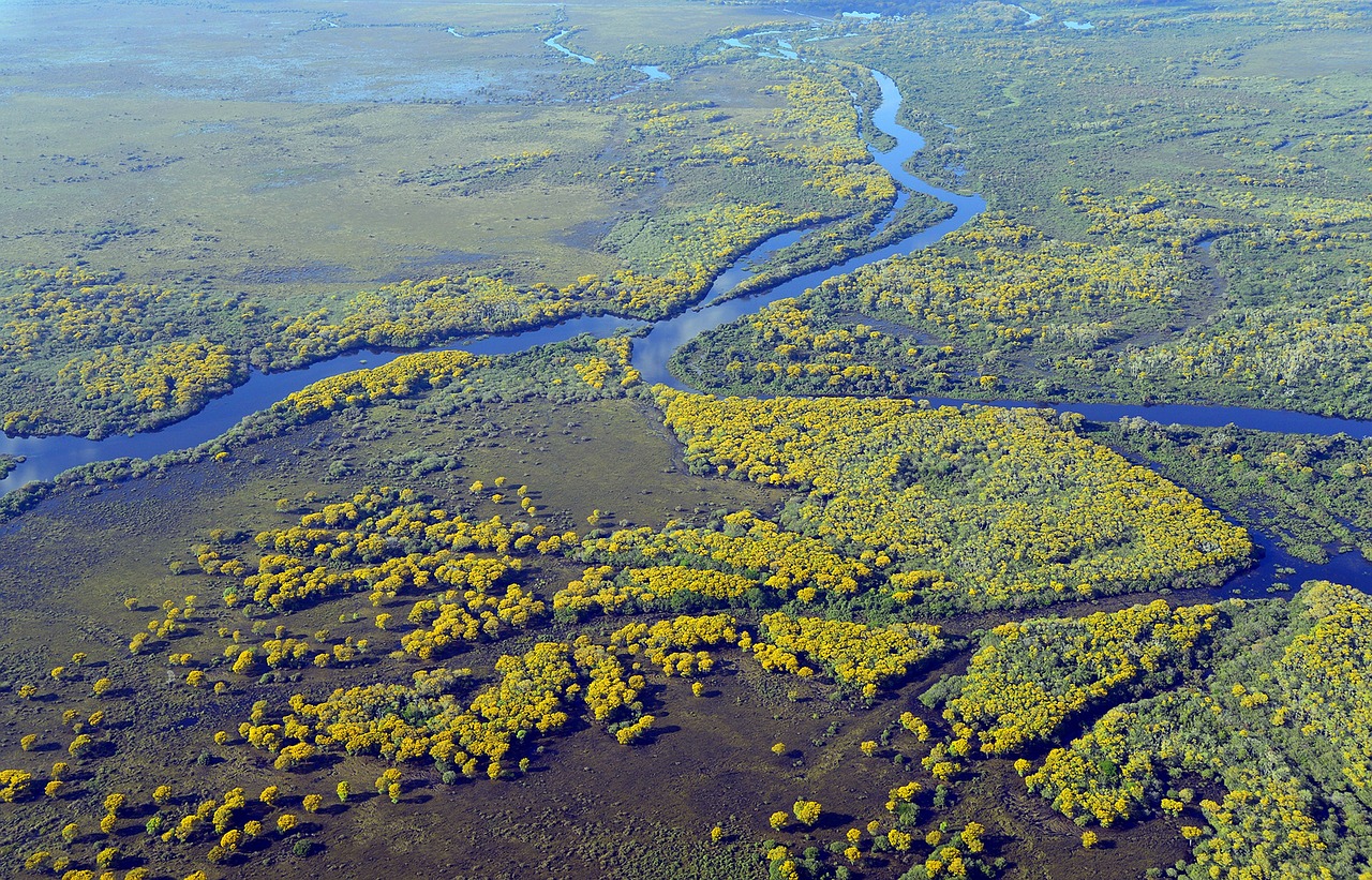 découvrez l'importance de la préservation des zones humides pour la biodiversité, la régulation hydrique et la lutte contre le changement climatique. explorez les initiatives et les actions nécessaires pour protéger ces écosystèmes vitaux.