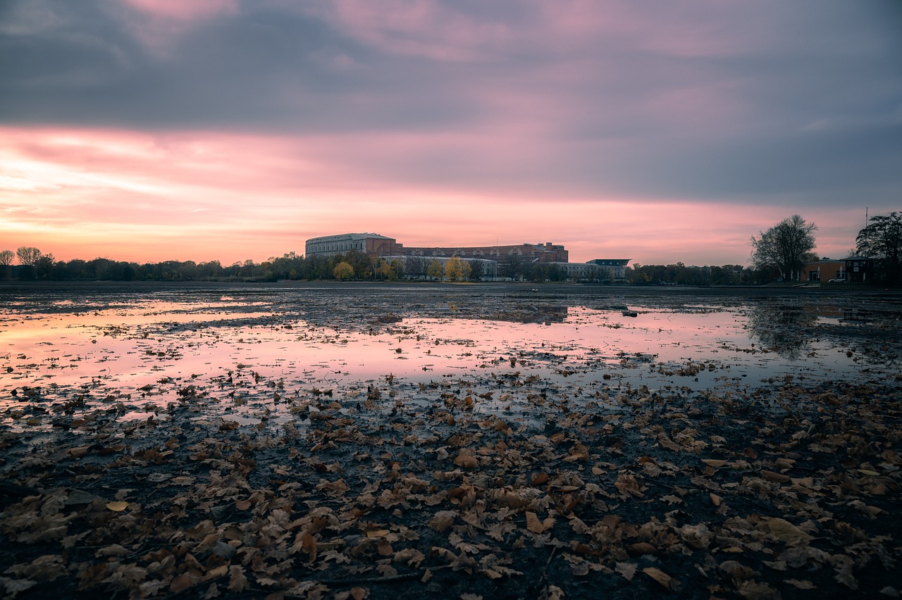 découvrez l'importance de la préservation des zones humides pour la biodiversité et le climat. informez-vous sur les actions essentielles pour protéger ces précieux écosystèmes et leurs bienfaits pour l'environnement.