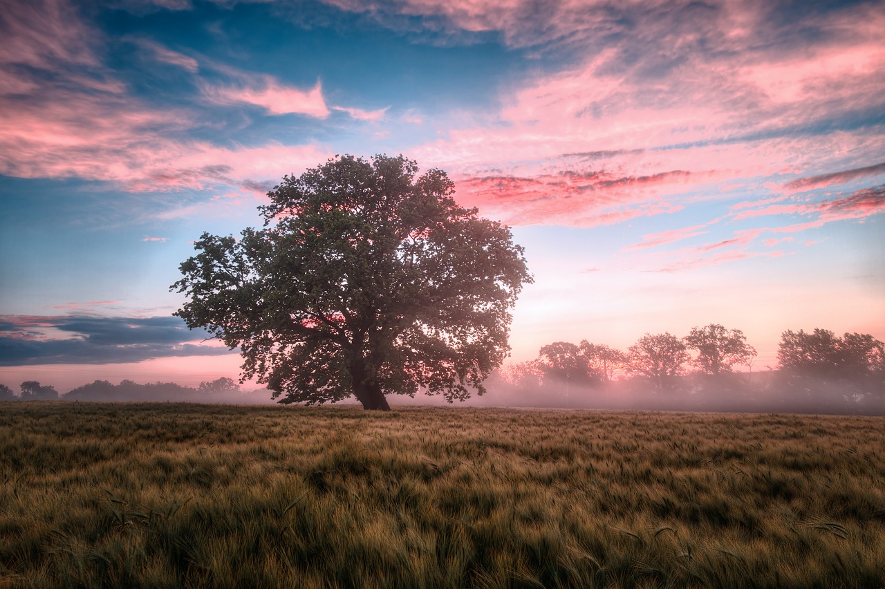 Comment élever ses enfants dans le respect de la nature