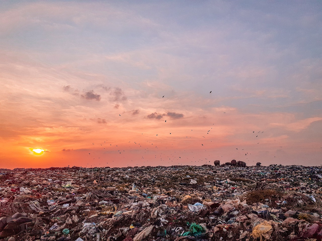 découvrez comment la pollution numérique impacte notre environnement et notre santé. explorez des solutions innovantes pour réduire notre empreinte numérique et promouvoir un internet plus durable.