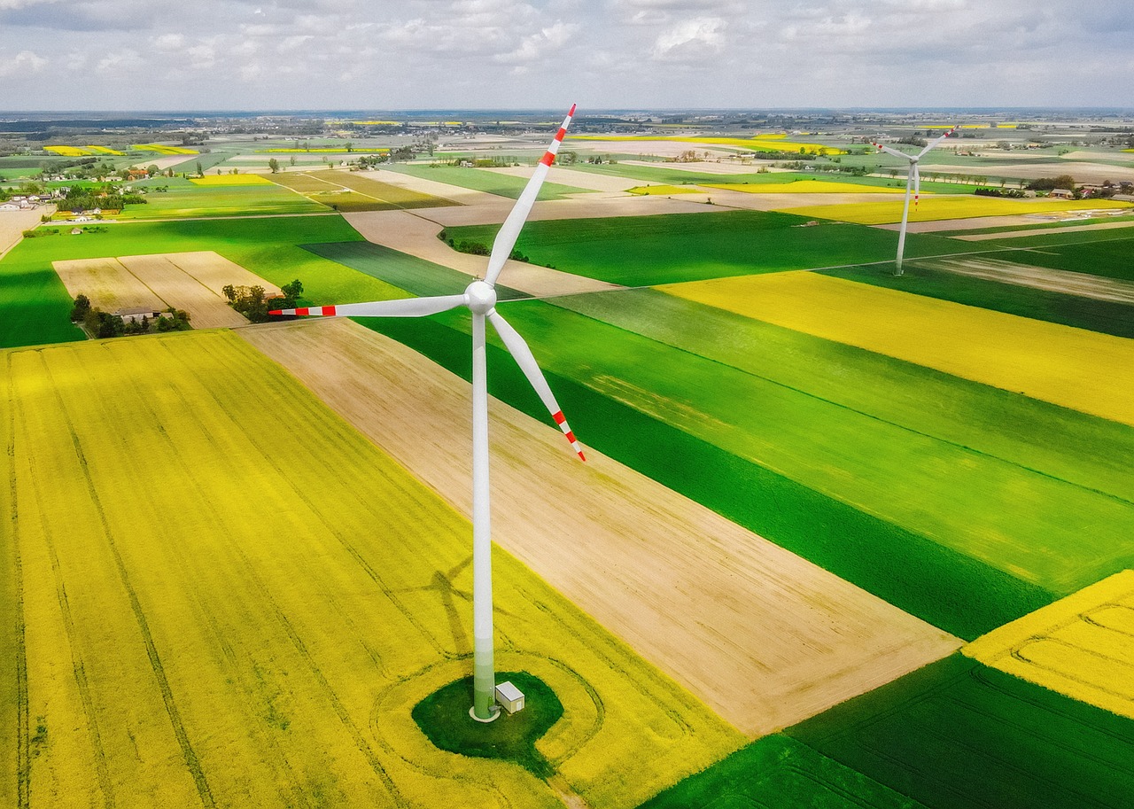 découvrez l'écologie, science essentielle pour comprendre les interactions entre les organismes et leur environnement. explorez les enjeux contemporains tels que la biodiversité, le changement climatique, et les pratiques durables pour protéger notre planète.