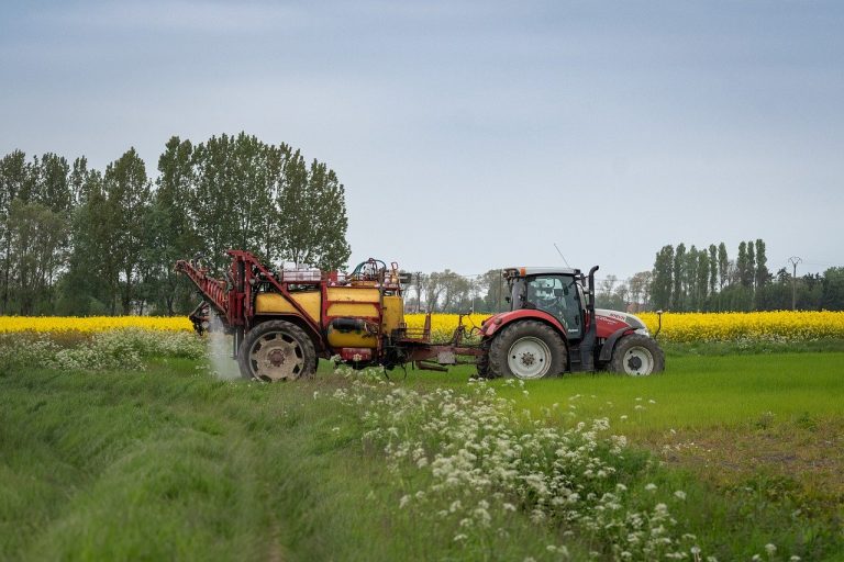 découvrez l'agriculture urbaine, un mouvement innovant qui transforme les villes en espaces de culture durable. apprenez comment cultiver vos propres légumes et fruits, réduire l'empreinte carbone et promouvoir la biodiversité au cœur des métropoles.