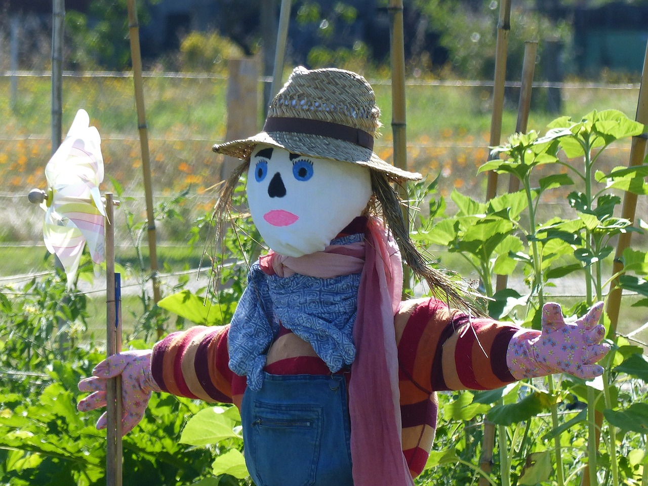 découvrez l'univers de la permaculture et apprenez à concevoir des systèmes agricoles durables et respectueux de l'environnement. explorez des techniques innovantes pour cultiver vos propres jardins en harmonie avec la nature.