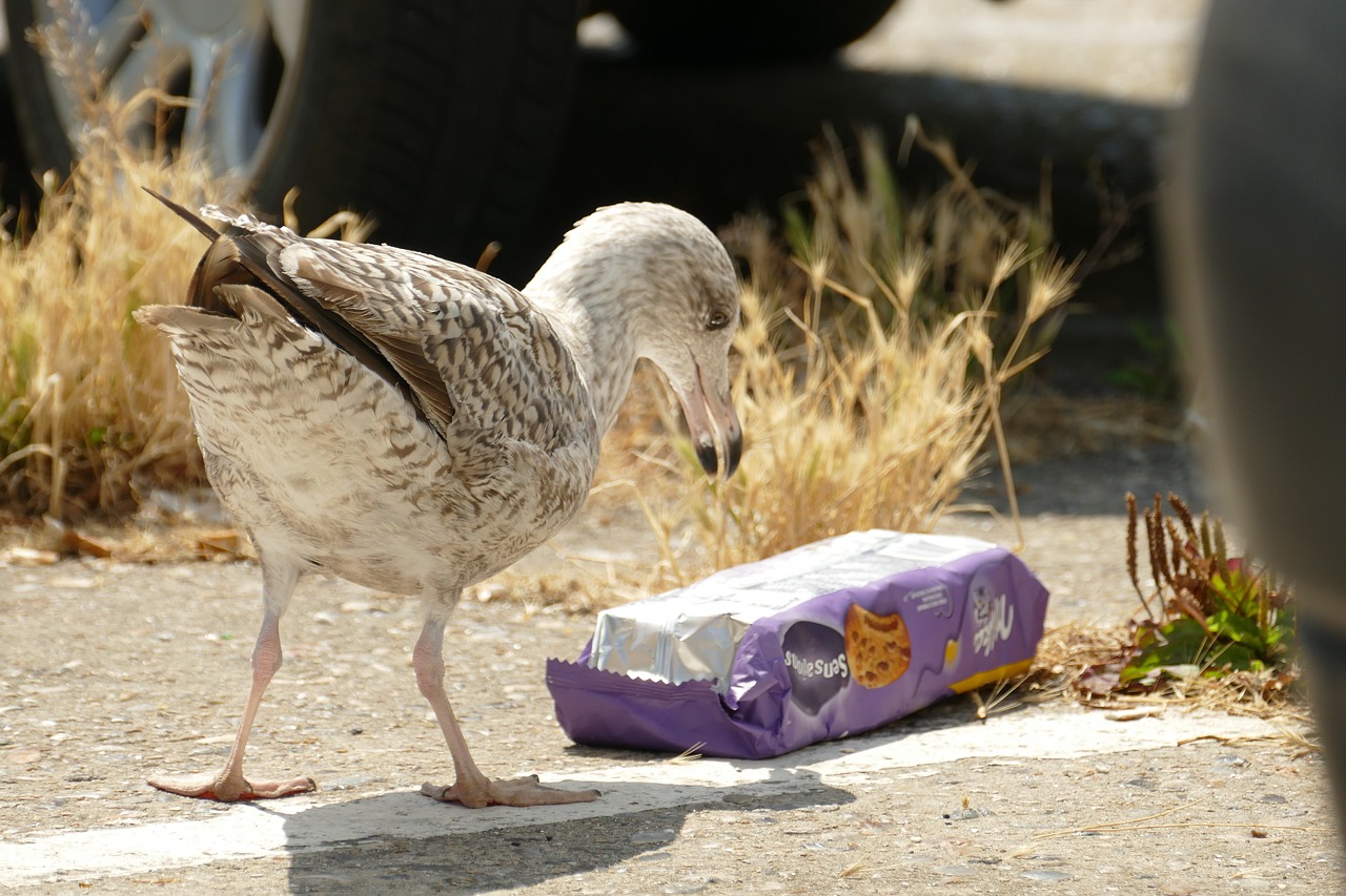 Les microplastiques : une menace pour notre environnement