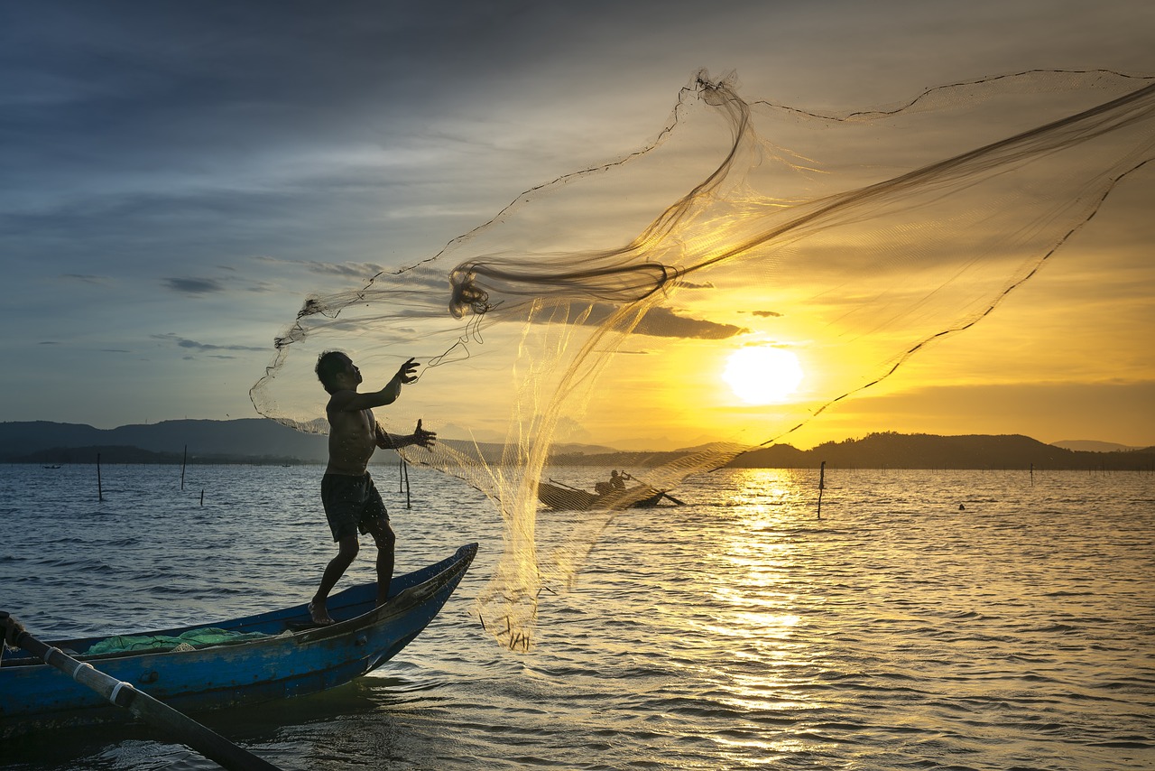 découvrez les pratiques de pêche durable qui préservent les écosystèmes marins tout en assurant des ressources pour les générations futures. apprenez comment la pêche responsable peut contribuer à la biodiversité et à la santé des océans.