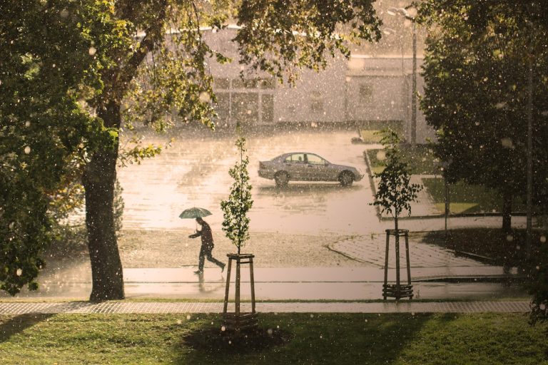 découvrez l'impact du changement climatique sur notre planète, les enjeux environnementaux et les actions à entreprendre pour un avenir durable. rejoignez la lutte pour une meilleure compréhension et préservation du climat.