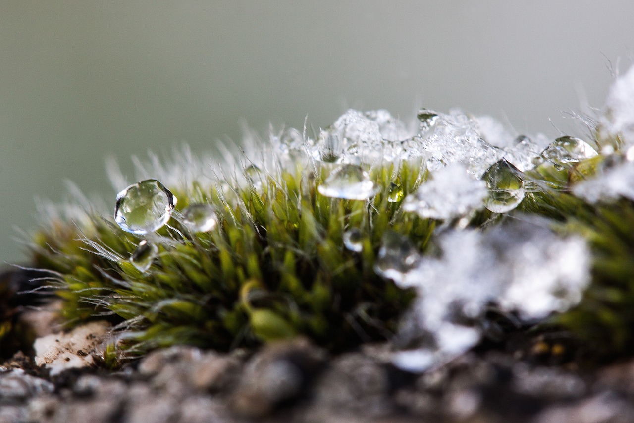 découvrez comment la transition écologique transforme notre société vers un avenir durable. explorez des initiatives innovantes, des pratiques écoresponsables et des solutions pour préserver notre planète tout en favorisant un développement harmonieux.