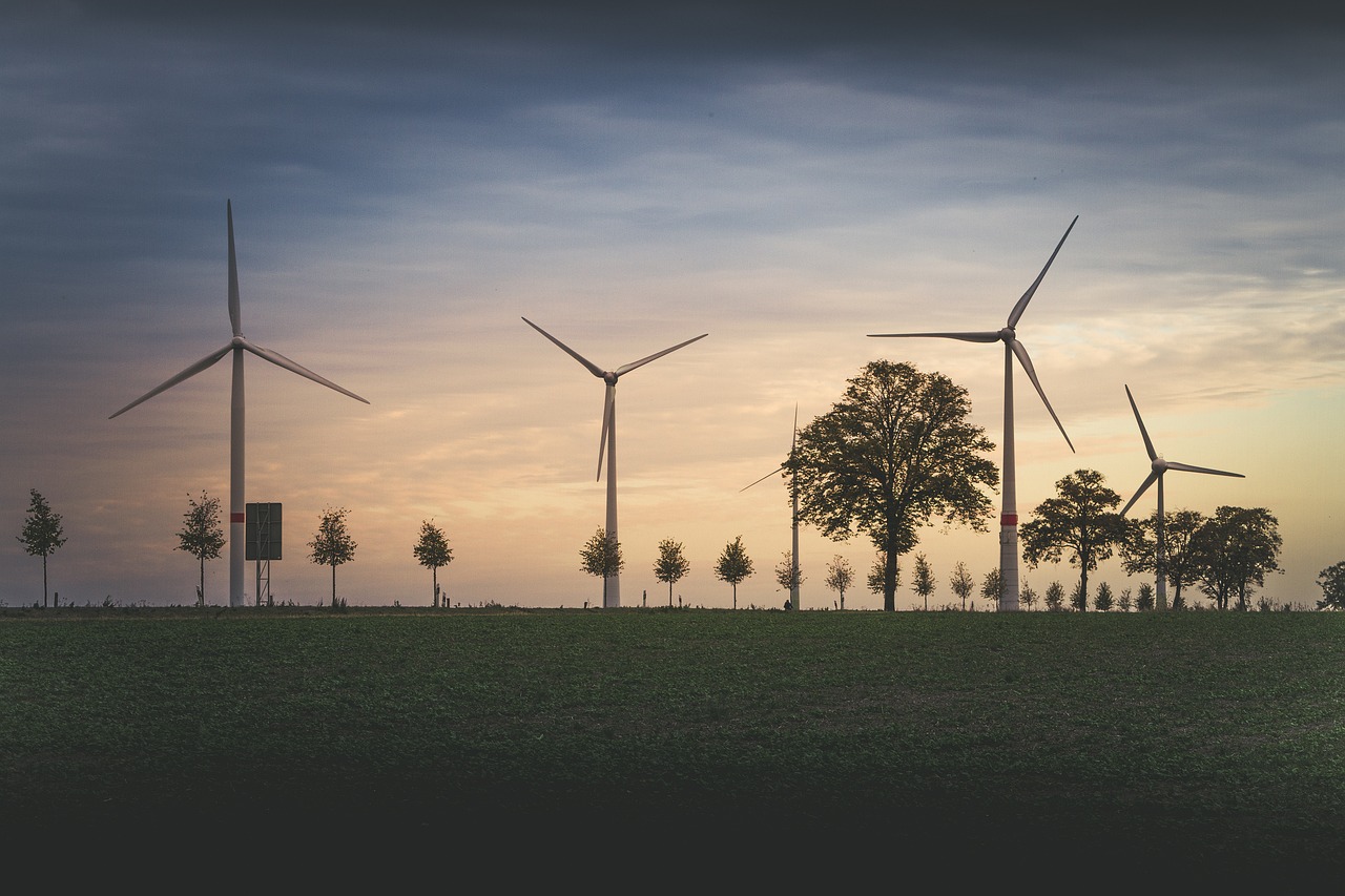 découvrez les politiques environnementales qui façonnent notre avenir, englobant des stratégies pour la durabilité, la protection des ressources naturelles et l'engagement en faveur d'un développement respectueux de l'environnement.