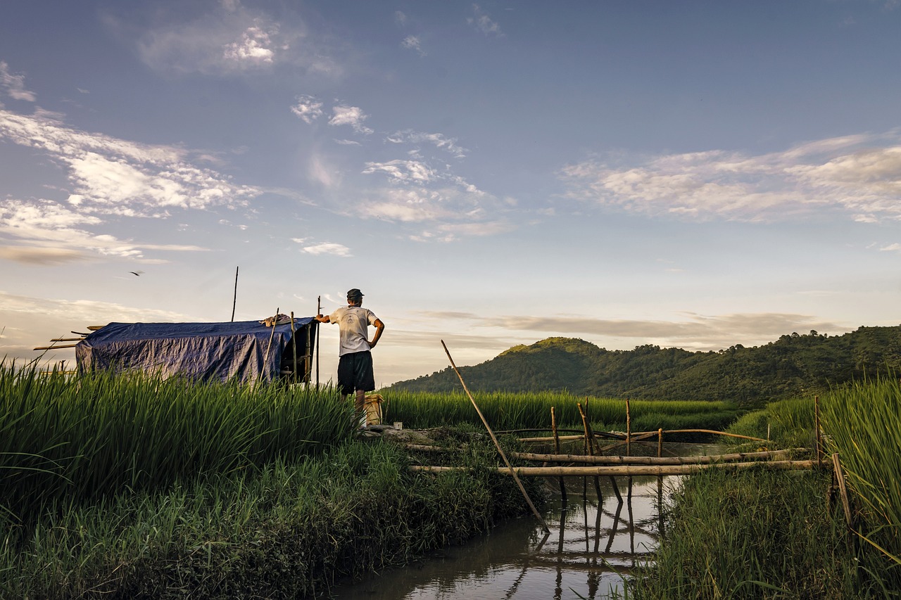 découvrez l'univers des agriculteurs : passion, savoir-faire et techniques innovantes au service de la terre. explorez les défis et réussites du monde agricole.