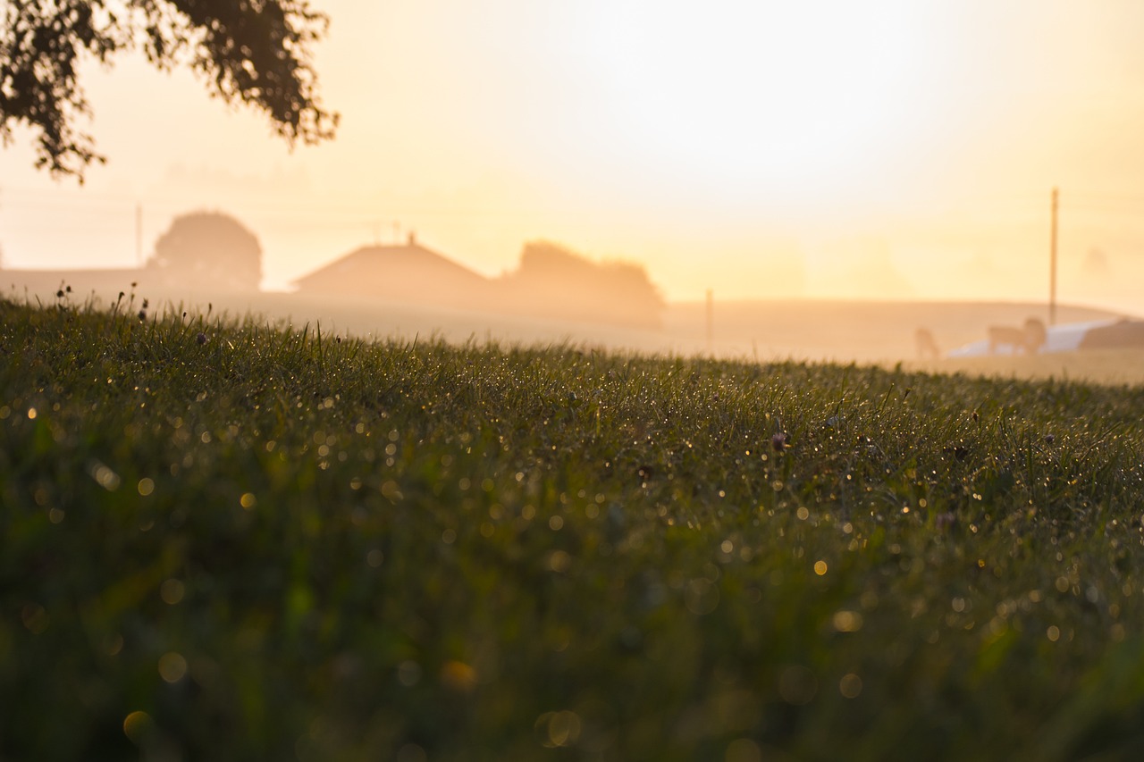 découvrez le monde des agriculteurs ! explorez les pratiques durables, les innovations et les défis auxquels font face les agriculteurs d'aujourd'hui. rejoignez la conversation sur l'agriculture moderne et son impact sur notre société.