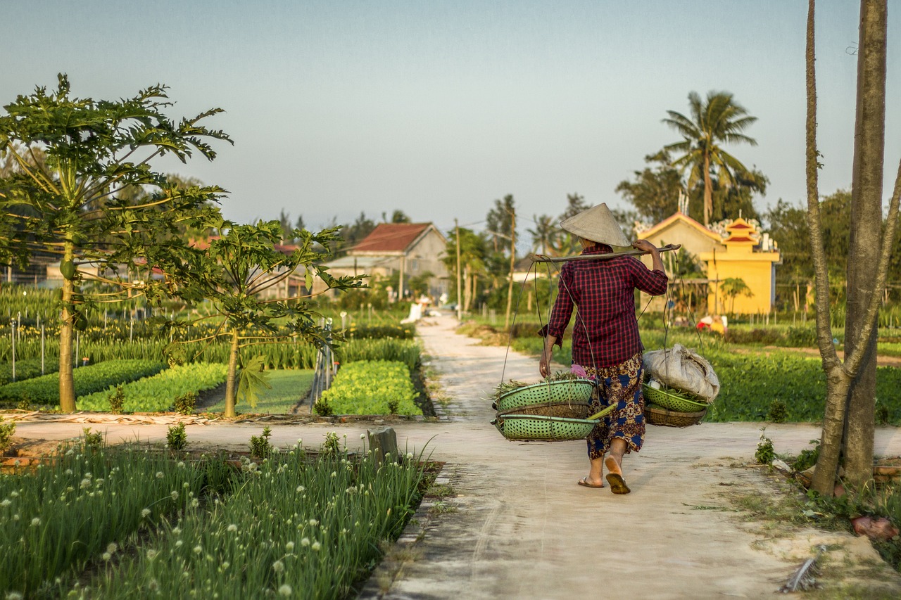 découvrez le monde fascinant des agriculteurs, ces héros du quotidien qui cultivent nos aliments avec passion et expertise. plongez dans leurs pratiques, défis et innovations pour comprendre l'importance de l'agriculture durable.