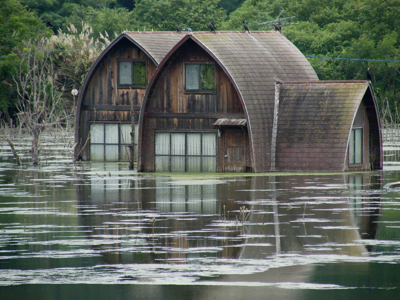 découvrez les causes, conséquences et solutions face aux inondations. comprenez comment prévenir les risques liés aux inondations et adaptez-vous aux changements climatiques.