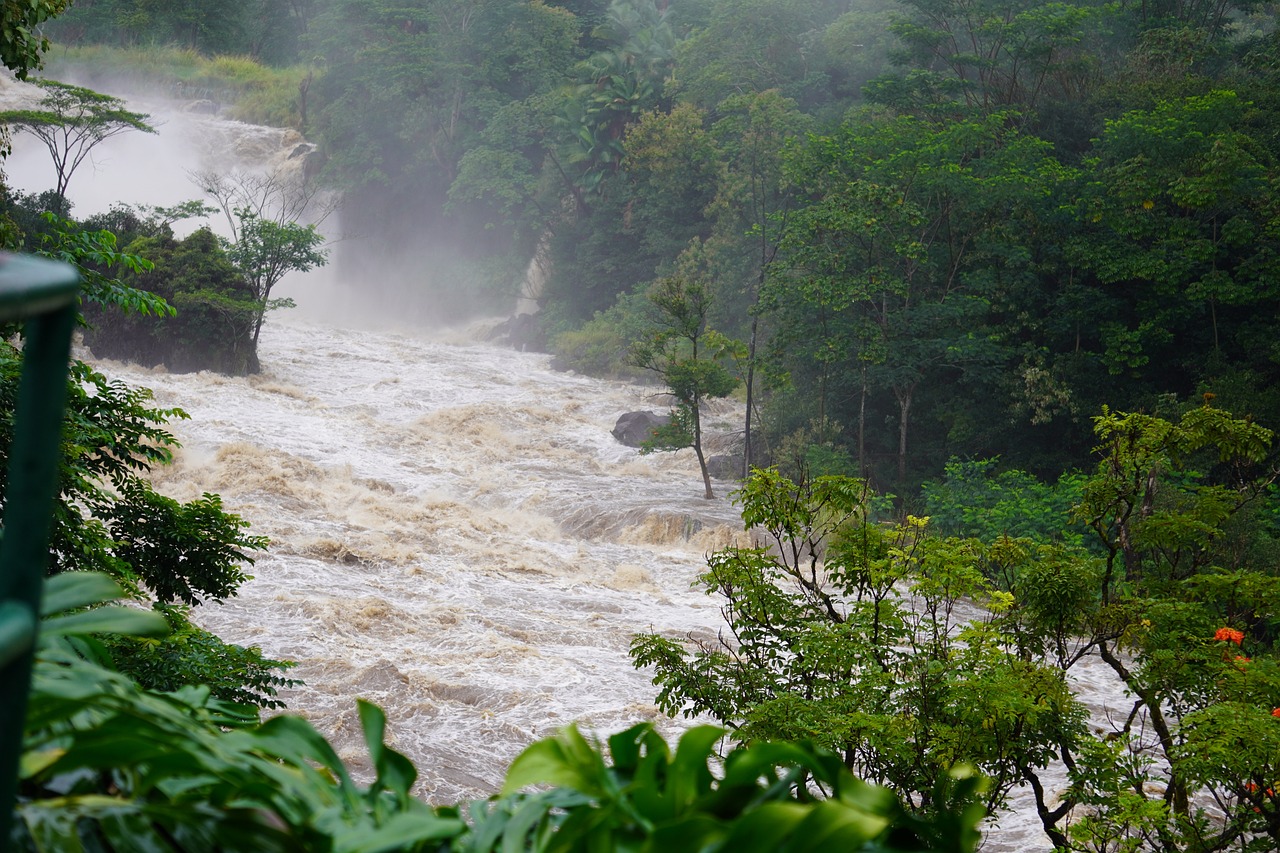 découvrez les causes, les conséquences et les solutions face aux inondations. analyse des impacts environnementaux, économiques et sociaux des crues, ainsi que des mesures préventives pour protéger les communautés.