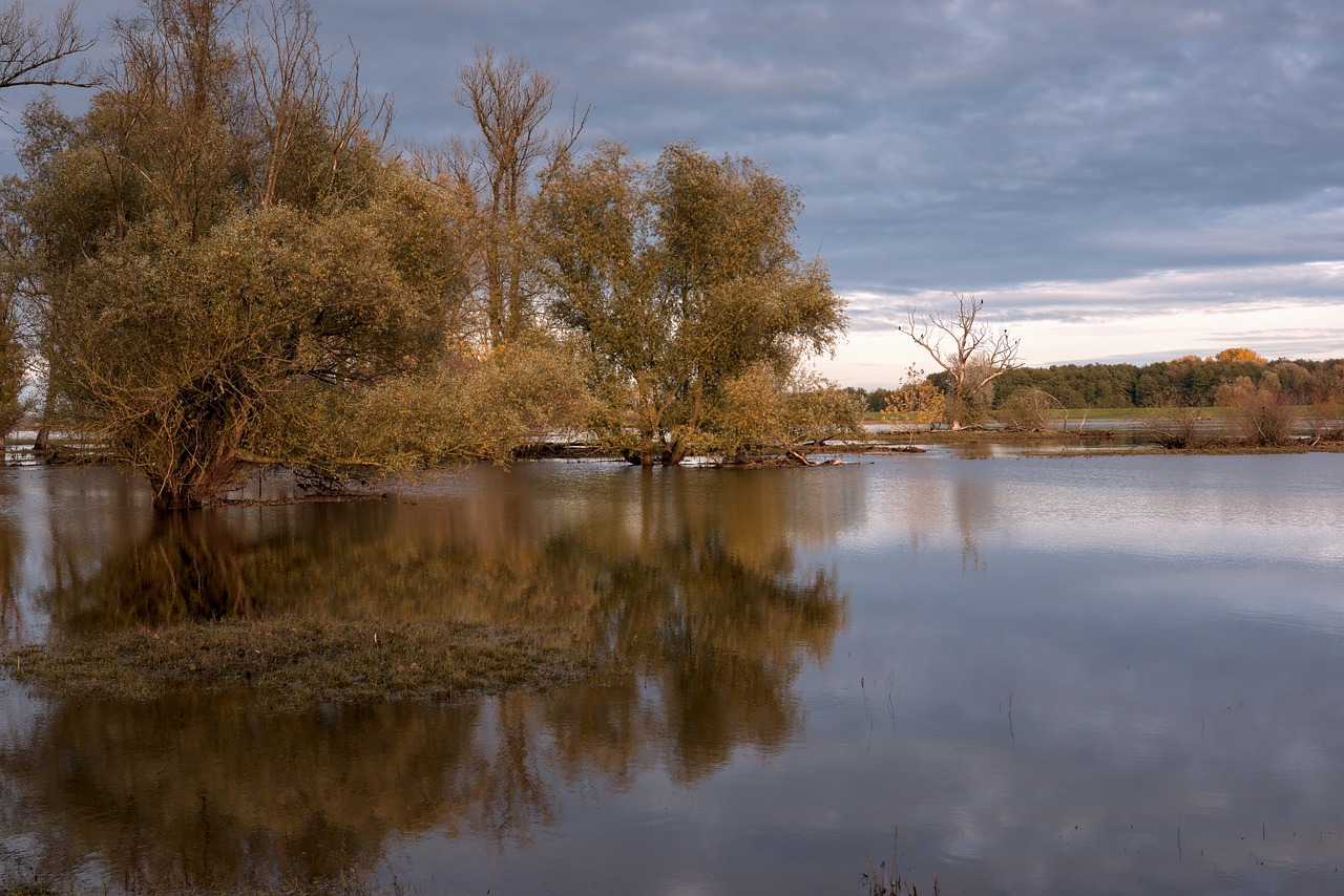 découvrez l'impact des inondations sur l'environnement et les communautés. informez-vous sur les causes, les conséquences et les stratégies de prévention pour mieux comprendre ce phénomène naturel croissant.