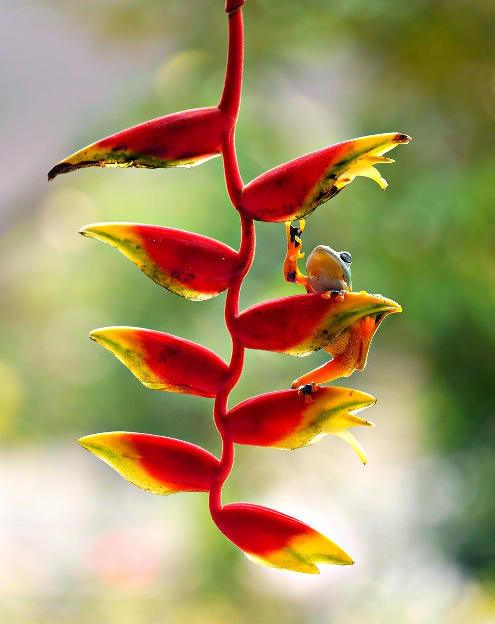 découvrez la beauté de la nature à travers ses paysages époustouflants, sa biodiversité riche et ses écosystèmes fascinants. plongez dans un univers sauvage où chaque élément joue un rôle essentiel et inspire l'harmonie et la sérénité.