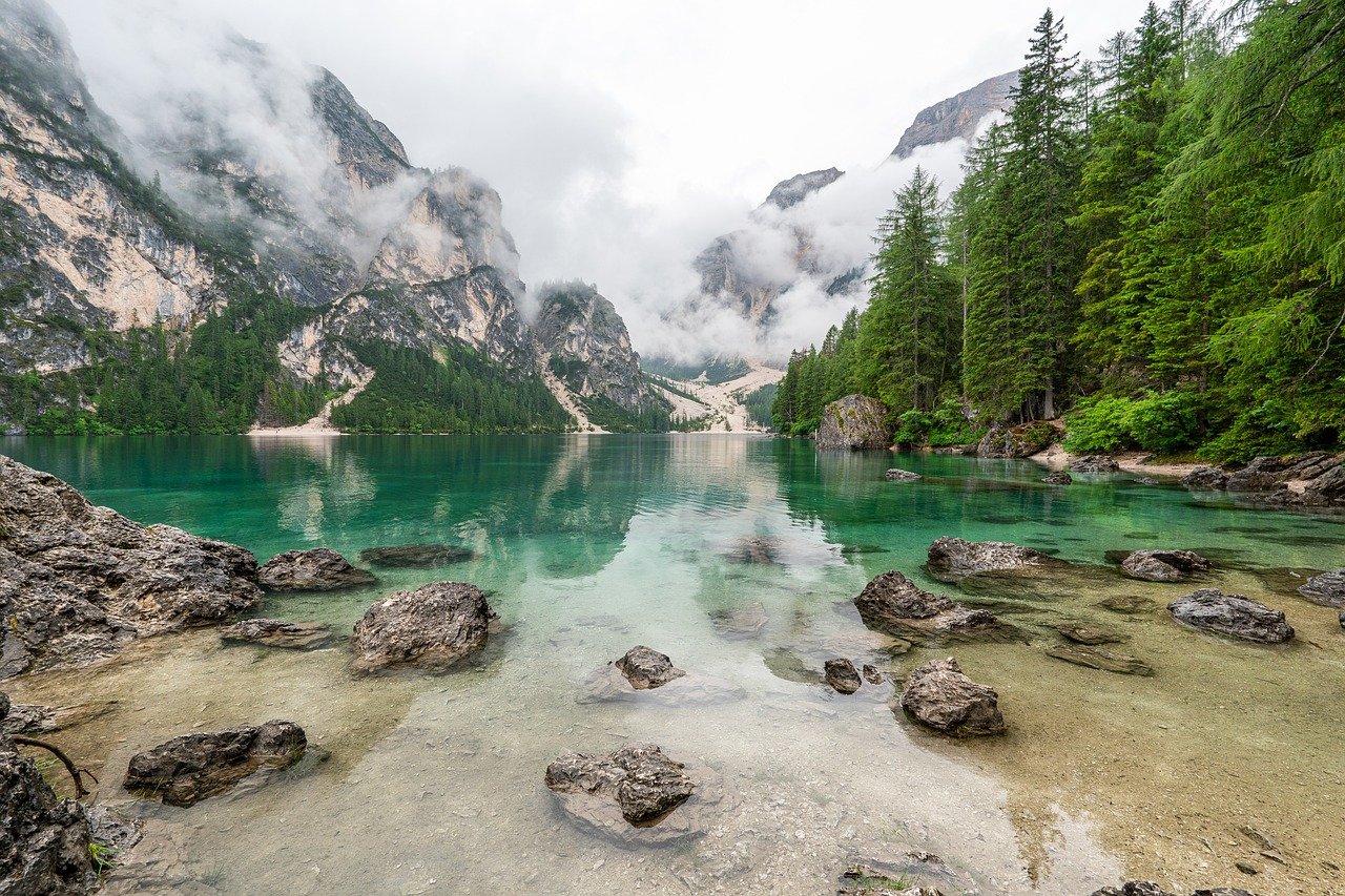 découvrez la beauté et la richesse de la nature à travers ses paysages à couper le souffle, sa faune diversifiée et sa flore unique. explorez les merveilles de notre planète et reconnectez-vous avec l'environnement.